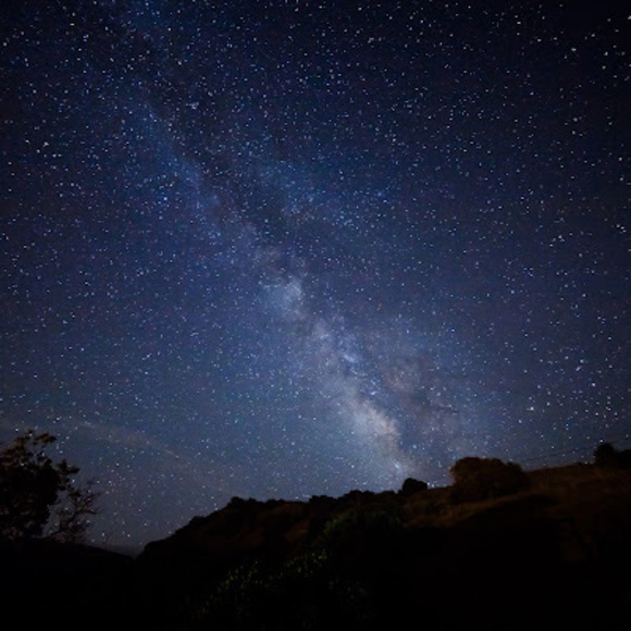 Meet your Posher, Lily - Picture 1 of 1